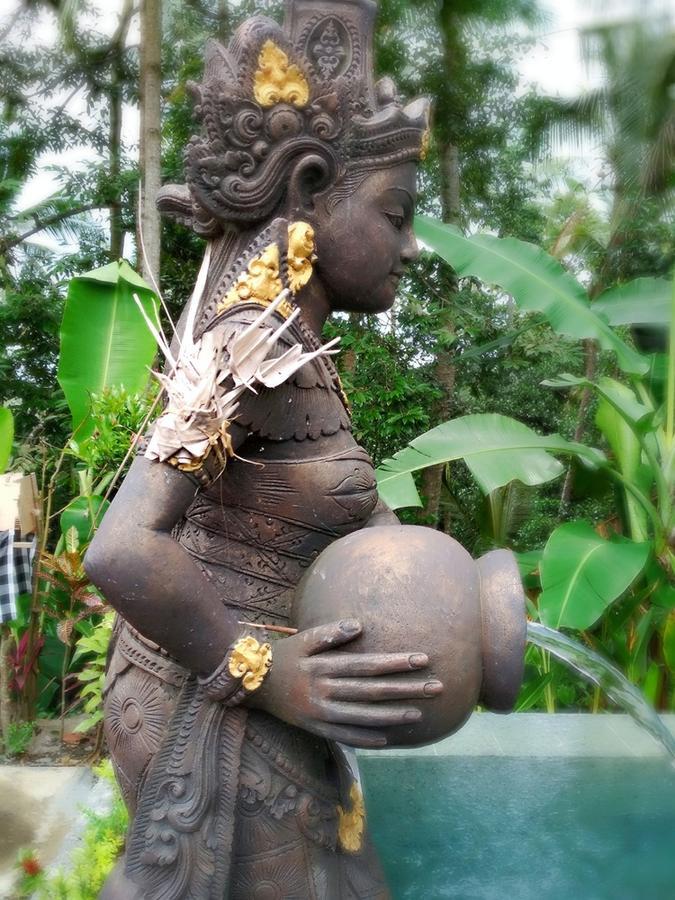 Amaya Cottage Ubud By Shm Buitenkant foto