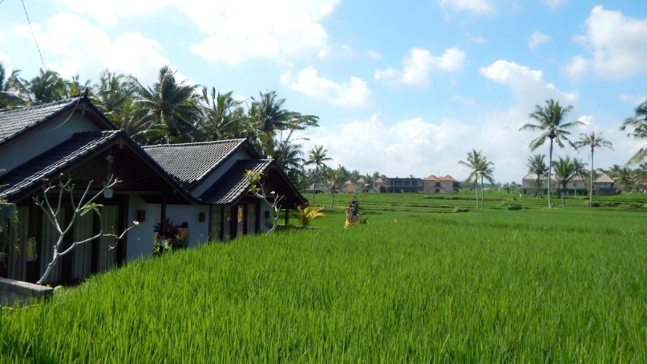 Amaya Cottage Ubud By Shm Buitenkant foto