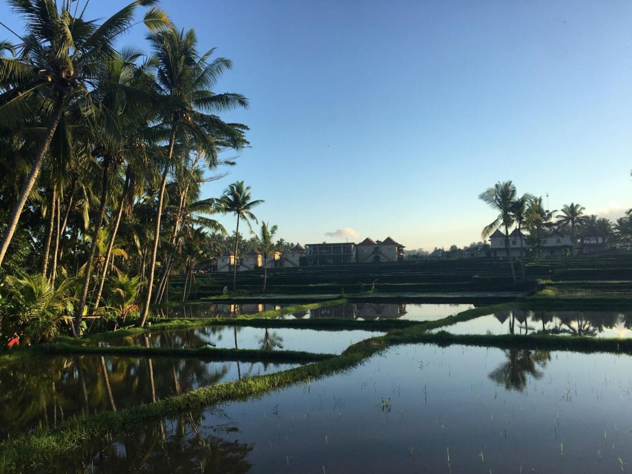 Amaya Cottage Ubud By Shm Buitenkant foto