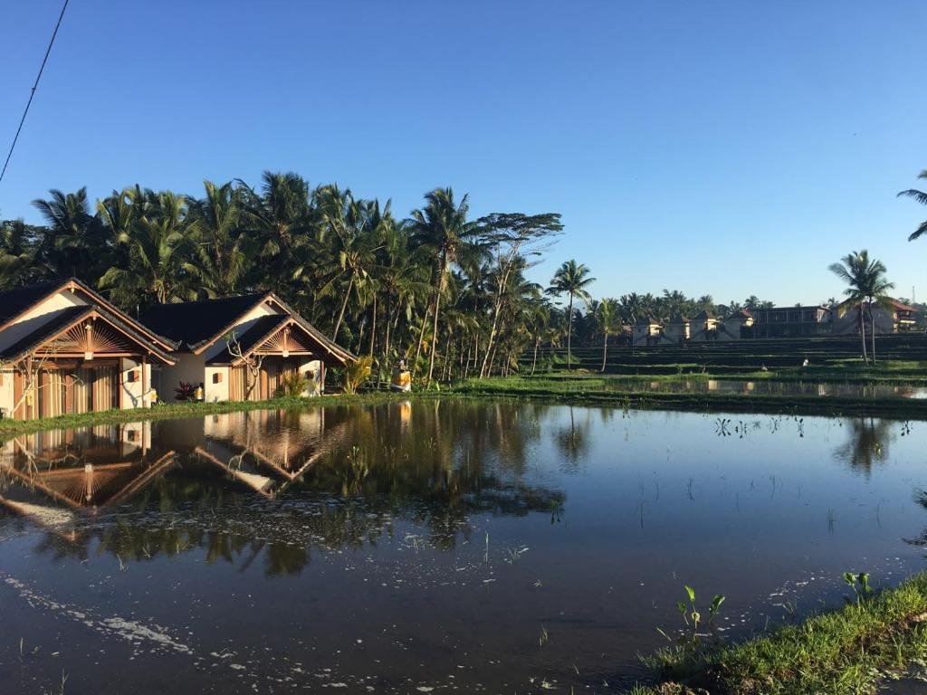 Amaya Cottage Ubud By Shm Buitenkant foto